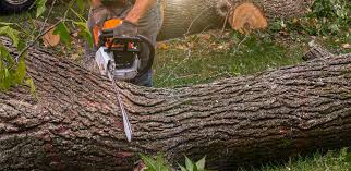 Lawn Drainage Solutions in Albany, TX