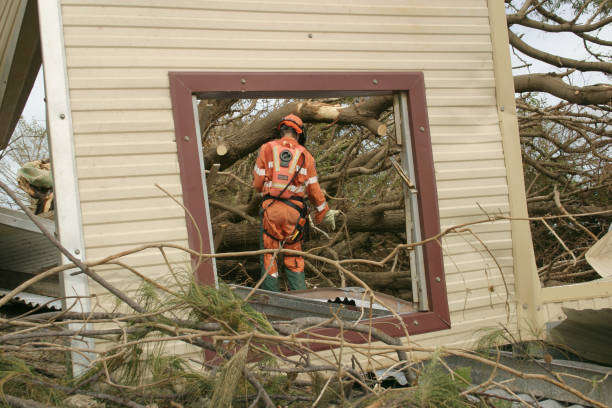 How Our Tree Care Process Works  in  Albany, TX